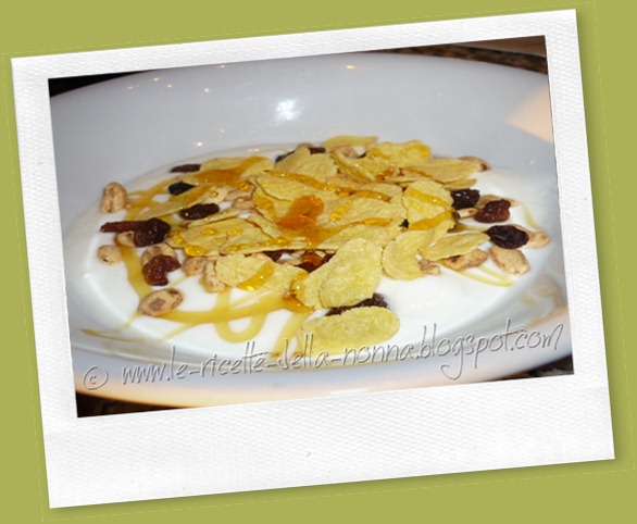 Yogurt con cereali, uvetta e miele di castagno (2)
