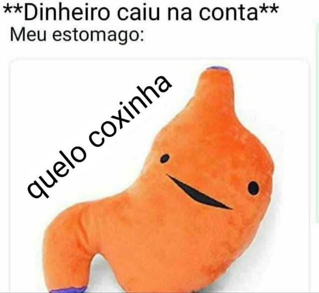 40 memes que resumem a minha vida