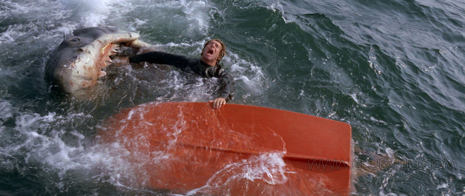 Jaws-1975-CAPTURA-3.jpg