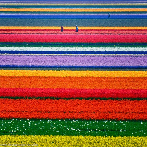 landscapes-paisagens-desbaratinando (1)