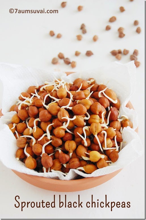 Sprouted black chickpea 