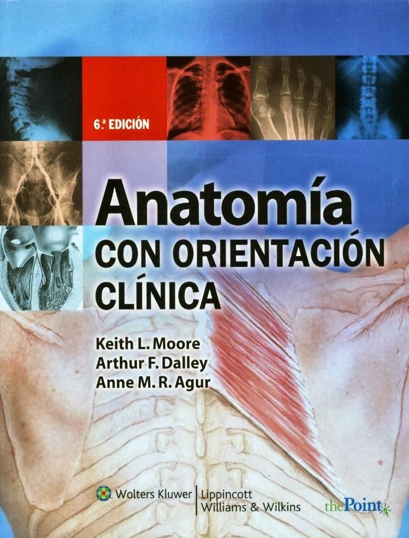 Anatomía Clínica Moore 6ta Edición PDF descargar