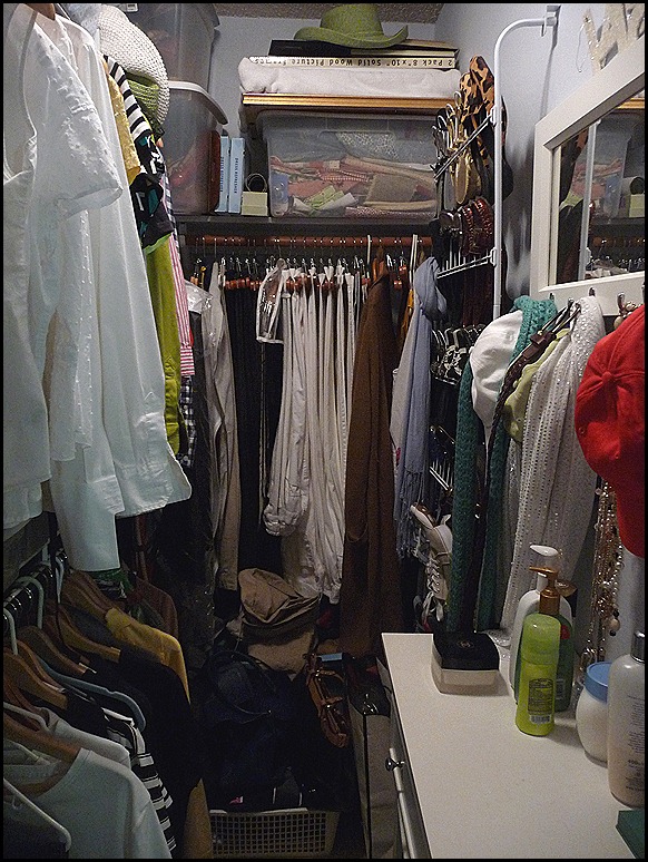 2012 Closet BEFORE Purge 004