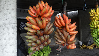 Эквадорские красные бананы