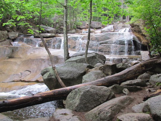 CathedralLedgeTrails-12-2015-07-26-22-05.jpg