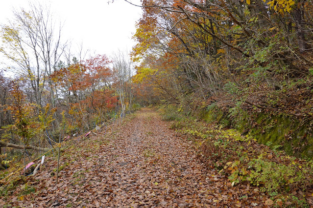 鳥取県西伯郡大山町大山　横手道