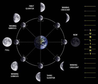  dangling the night's Waxing Gibbous moon. moon phases