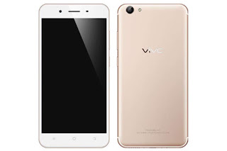 Vivo Y65 (PD1621BF)