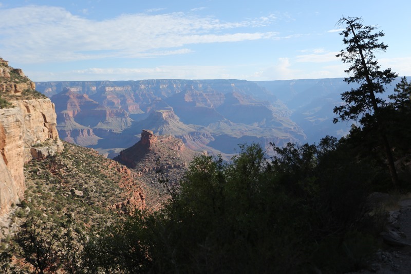 USA_1269