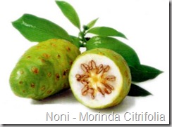 suco-de-noni-para-emagrecer