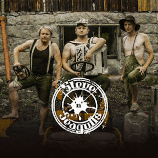 Steve'n'Seagulls - Thunderstruck
