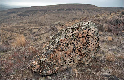 Ice Age Floods erratic boulder lichen covered