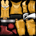 Boxing Trunks ( Saitama Version )