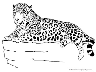 Jaguar Laying On The Rock Coloring Pages