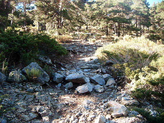 Ruta de Colmenar Viejo al puerto de Cotos. Octubre 2012