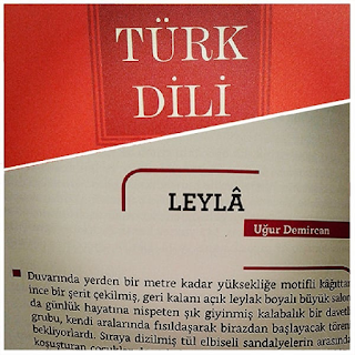 uğur demircan öykü leyla türk dili dergisi