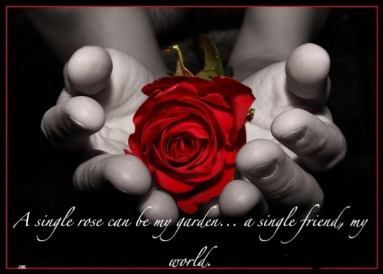 Quotes About Friendship Wallpapers. friends quotes wallpapers.
