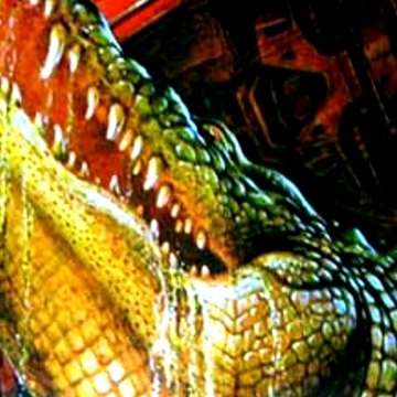 Alligator