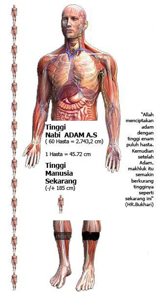 KISAH MISTERI