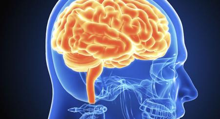 Brain new imaging technique,