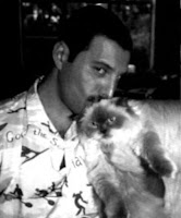 18 fotos de Freddie Mercury y sus gatos, a los que amaba y trataba como a sus propios hijos