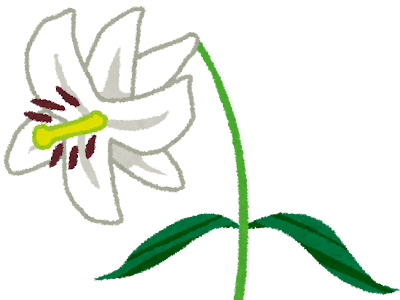 無料ダウンロード 百合の花 イラスト かわいい 181173-百合の花 イラスト かわいい