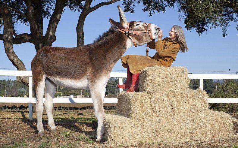 guinness-records-2013-3 guinness-records-2013-3