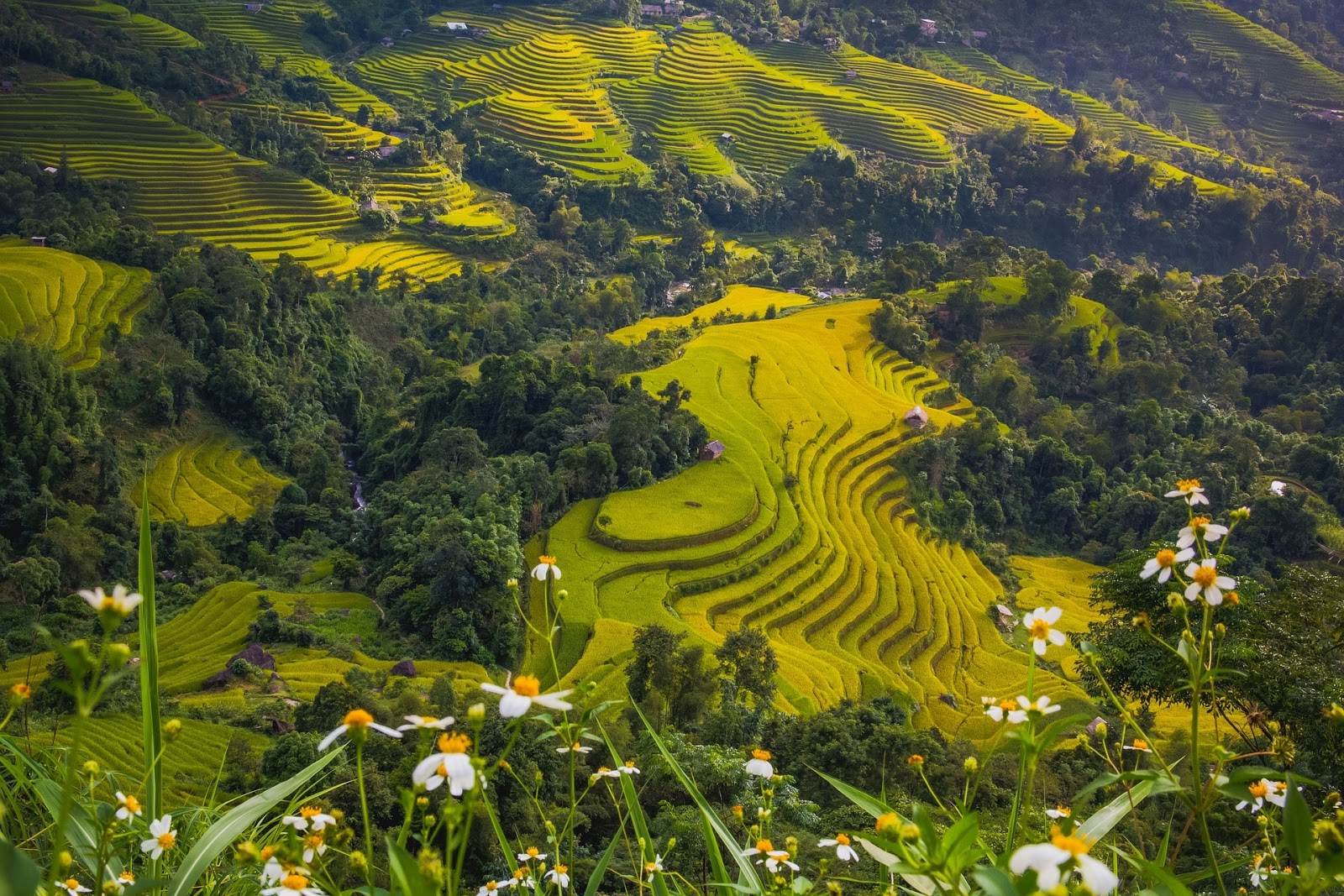 Gunung Gambar Pemandangan Alam Info Tiket