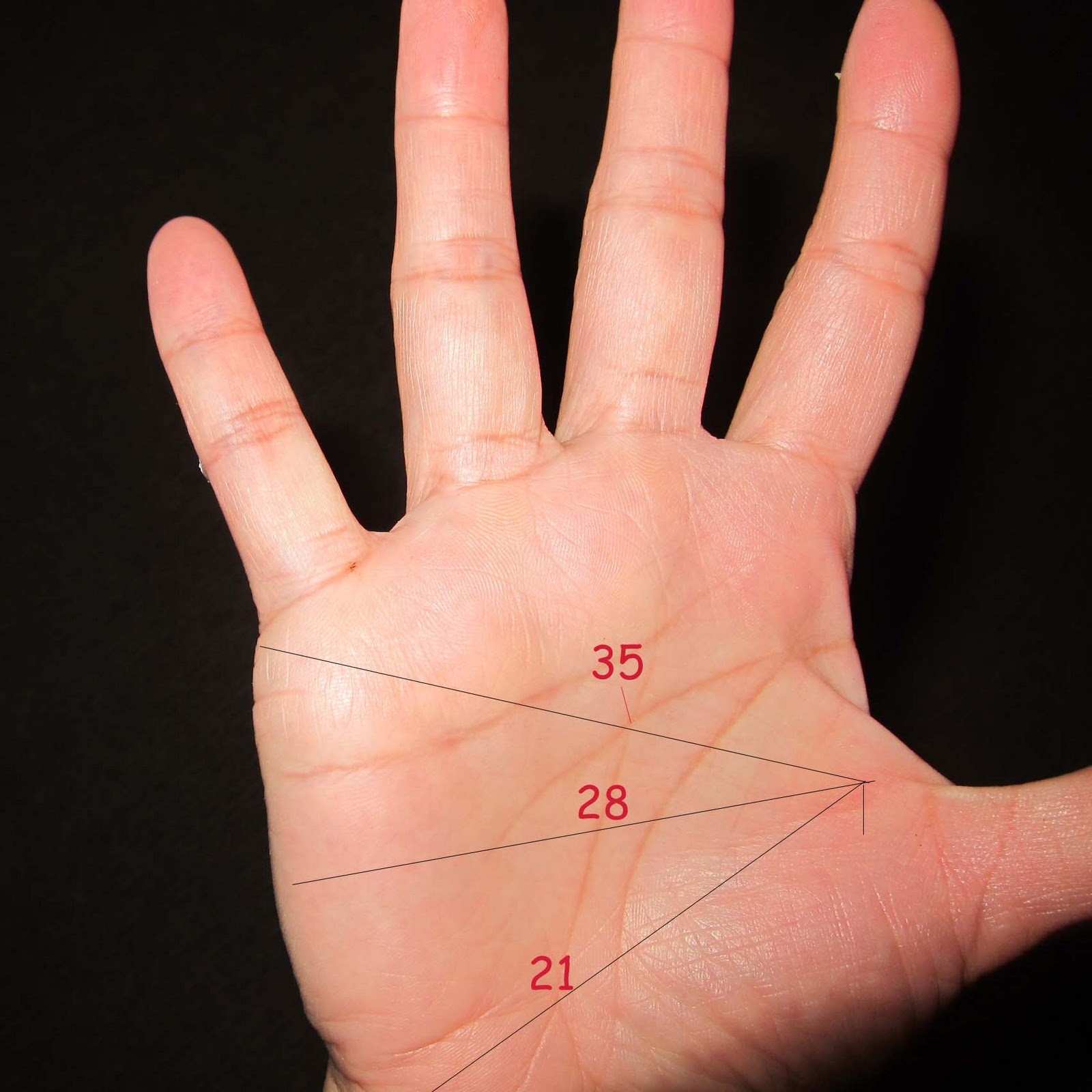 Palm Reading - How to Read Palms Lines in Palmistry, Lerarn Hand Reading 7  Easy Steps