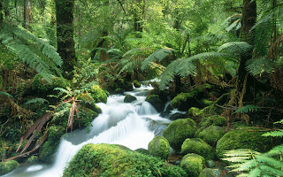 Australia Nature wallpaper