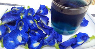 Bunga Telang sebagai pewarna alami biru keunguan
