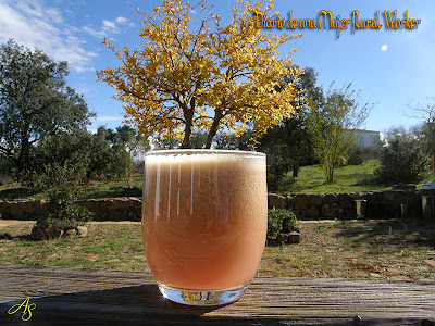 Zumo de manzana y uvas 