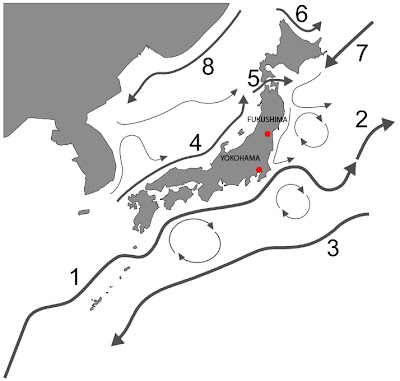 ocean currents diagram. family tree diagram. arack