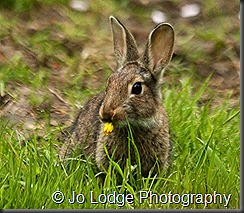 IMG_1041