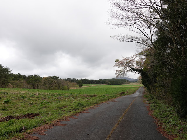 鳥取県西伯郡伯耆町丸山　牧草地