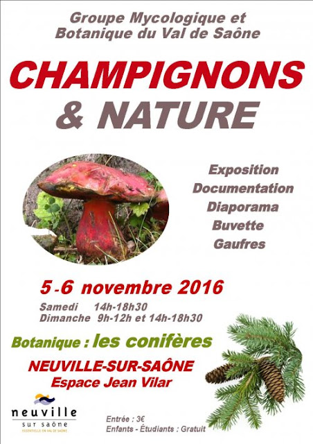 Exposition CHAMPIGNONS ET NATURE Lyon 2016 