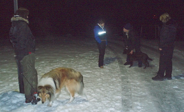 sutøya 005