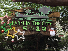 Farm In The City