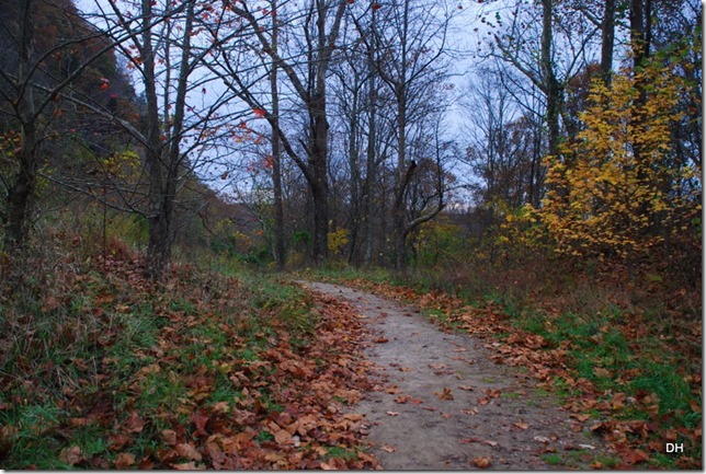 10-31-15 Cumberland Gap Saddle Hike (41)