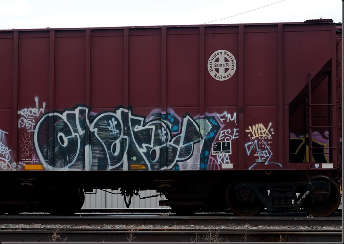 PIT_01448