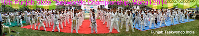 inauguration 16th Punjab State Taekwondo Championship- Aug 2014, Mohali near Chandigarh, under the supervision of Master Satpal Singh Rehal of Tkd Academy of Punjab for Martial Art Training Classes 