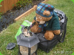 Feeding the Birds - July 2011