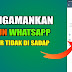 Panduan Praktis Mengamankan Akun WhatsApp dari Penyadapan