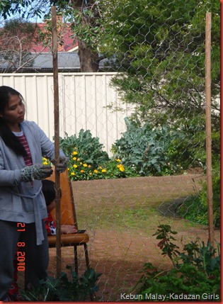 DSC08378