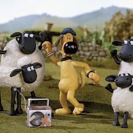 Gambar Shaun the Sheep