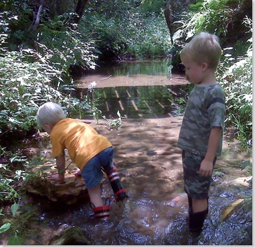 creek5