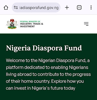Requirements for Request $10 billion Nigeria Diaspora Fund Check Post