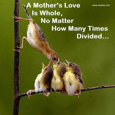 Mother's Love