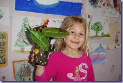 mini_DSC07371