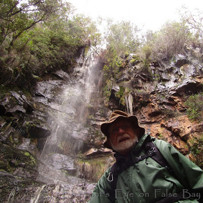 Kirstenbosch Contour Path